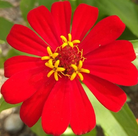 red blue {turn and&nbsp;repeat}