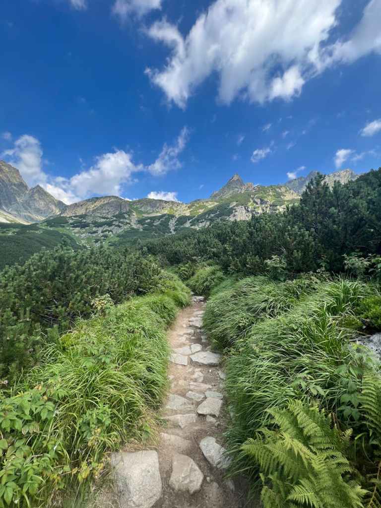 The story with “that” sacrifice