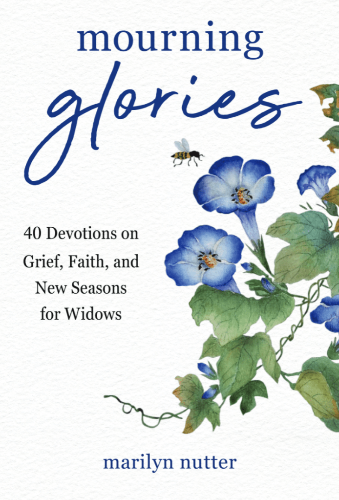 40 Devotions for Widows: Insights from Mourning&nbsp;Glories