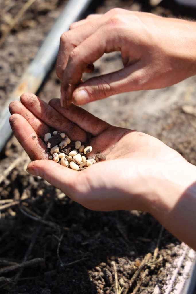 Planting What We Cannot Yet&nbsp;See